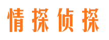 普格市侦探公司